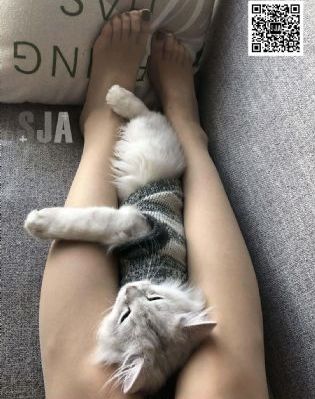 贝利弗山的秘密免费观看