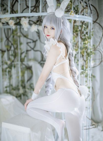 五十公里桃花坞4综艺免费观看