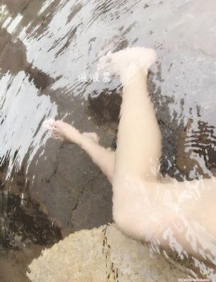 度华年在线观看免费完整版