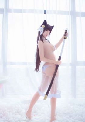 贤者之爱 电视剧